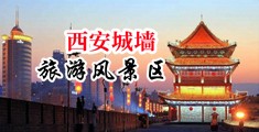 美女裸体网址在线新uu视频中国陕西-西安城墙旅游风景区